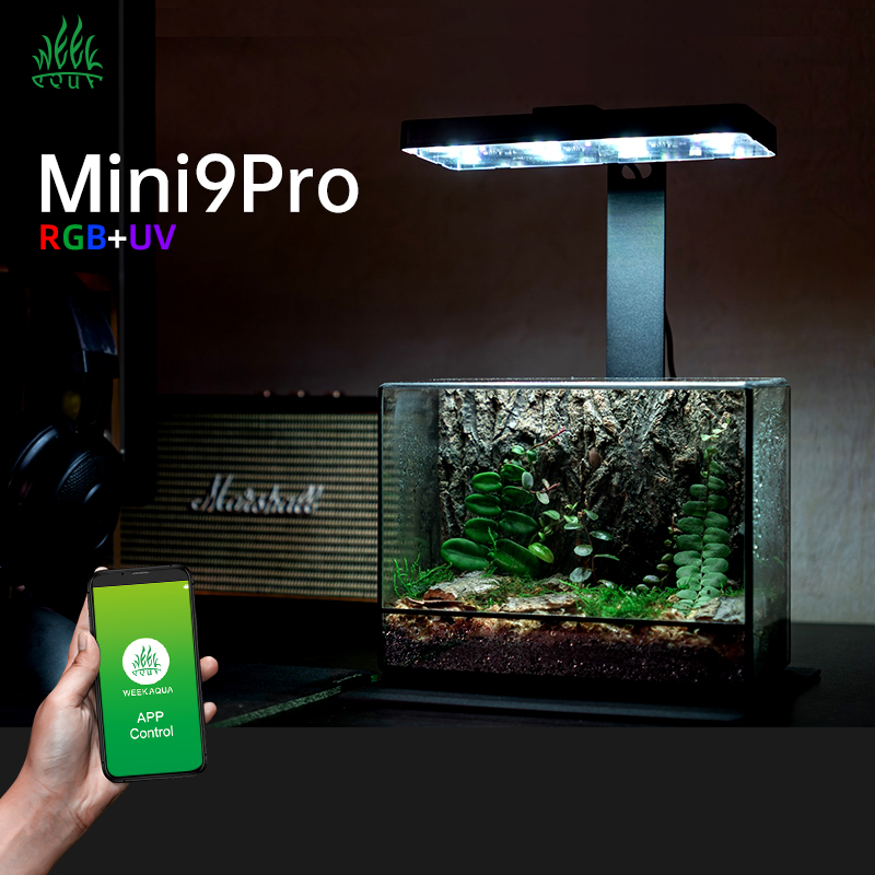 Hot Sale Mini9pro Nano Terrari - Aquarium Plants For Sale บทวิจารณ์และราคา