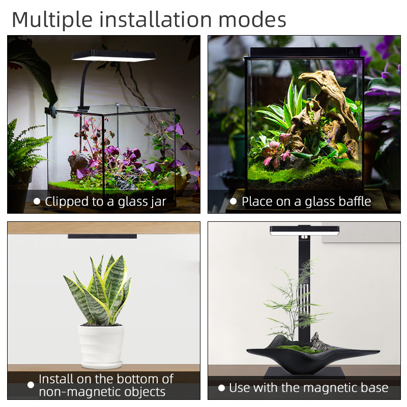 Hot Sale Mini9pro Nano Terrari - Aquarium Plants For Sale บทวิจารณ์และราคา