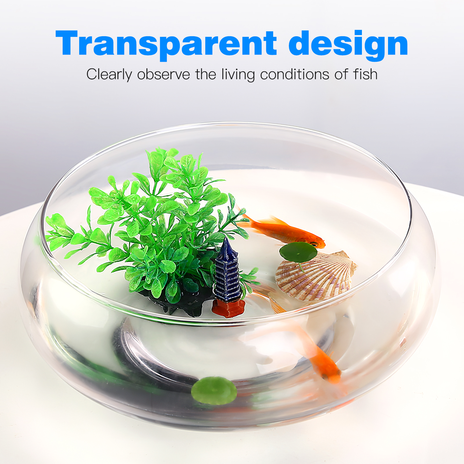 Aquarium Tank 2800ml Fish Tank - Planted Aquarium Bowl บทวิจารณ์และราคา