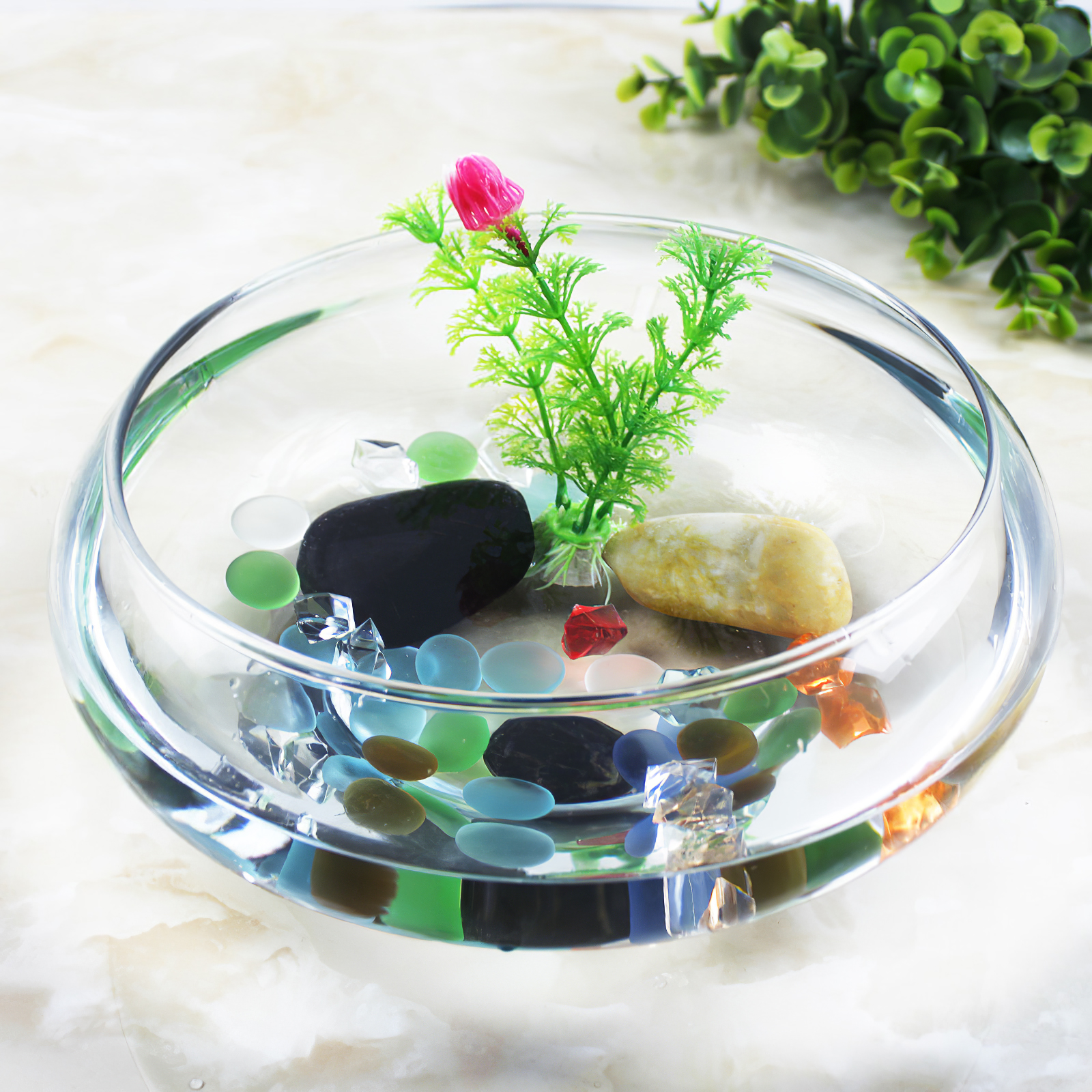 Aquarium Tank 2800ml Fish Tank - Planted Aquarium Bowl บทวิจารณ์และราคา