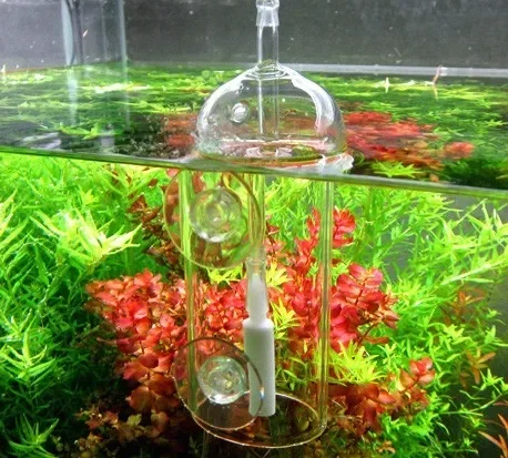 VIV Do Device Aquarium Cylinde - Aquarium Lily Pipe บทวิจารณ์และราคา