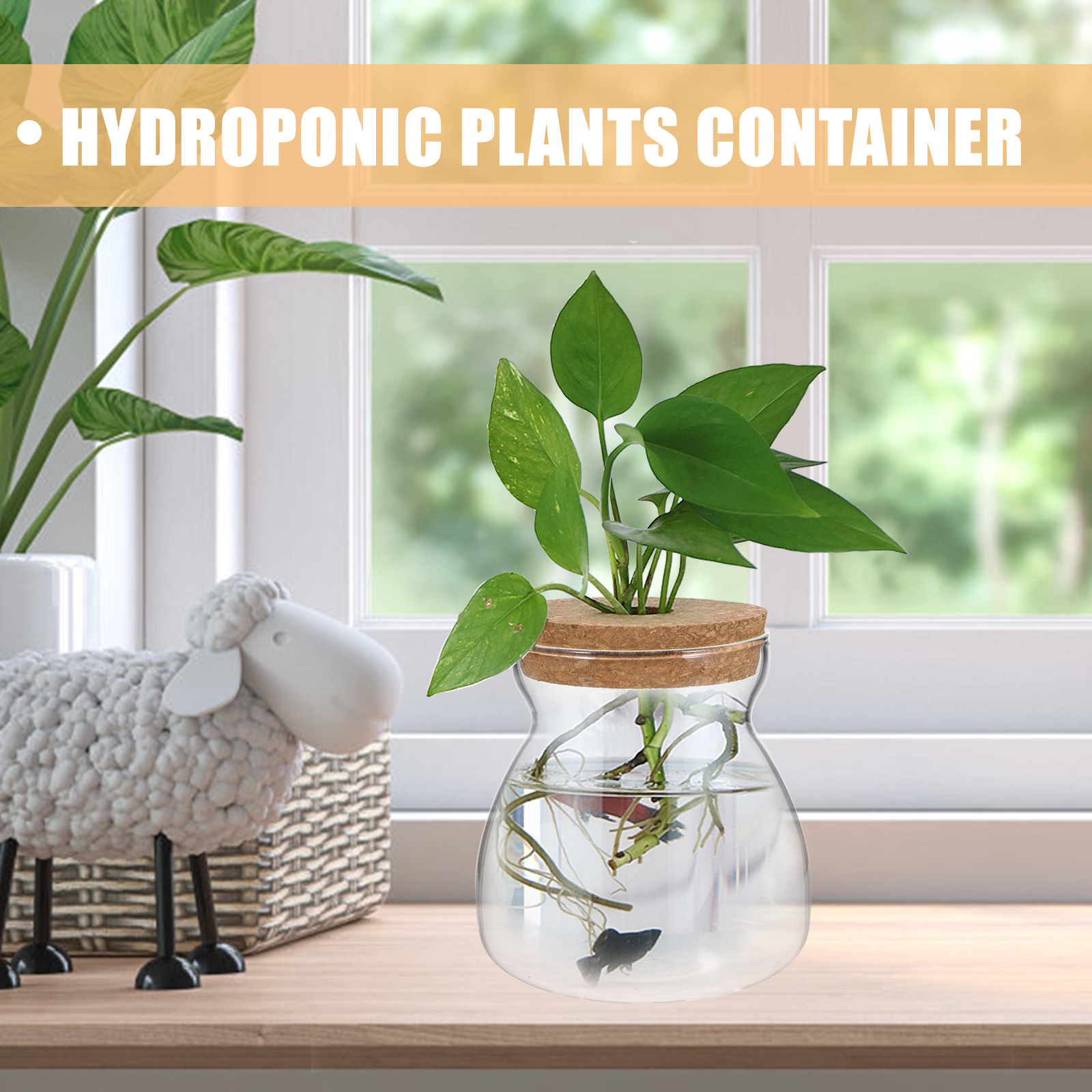 Terrarium Glass Jar Transparen - Planted Aquarium Jar บทวิจารณ์และราคา