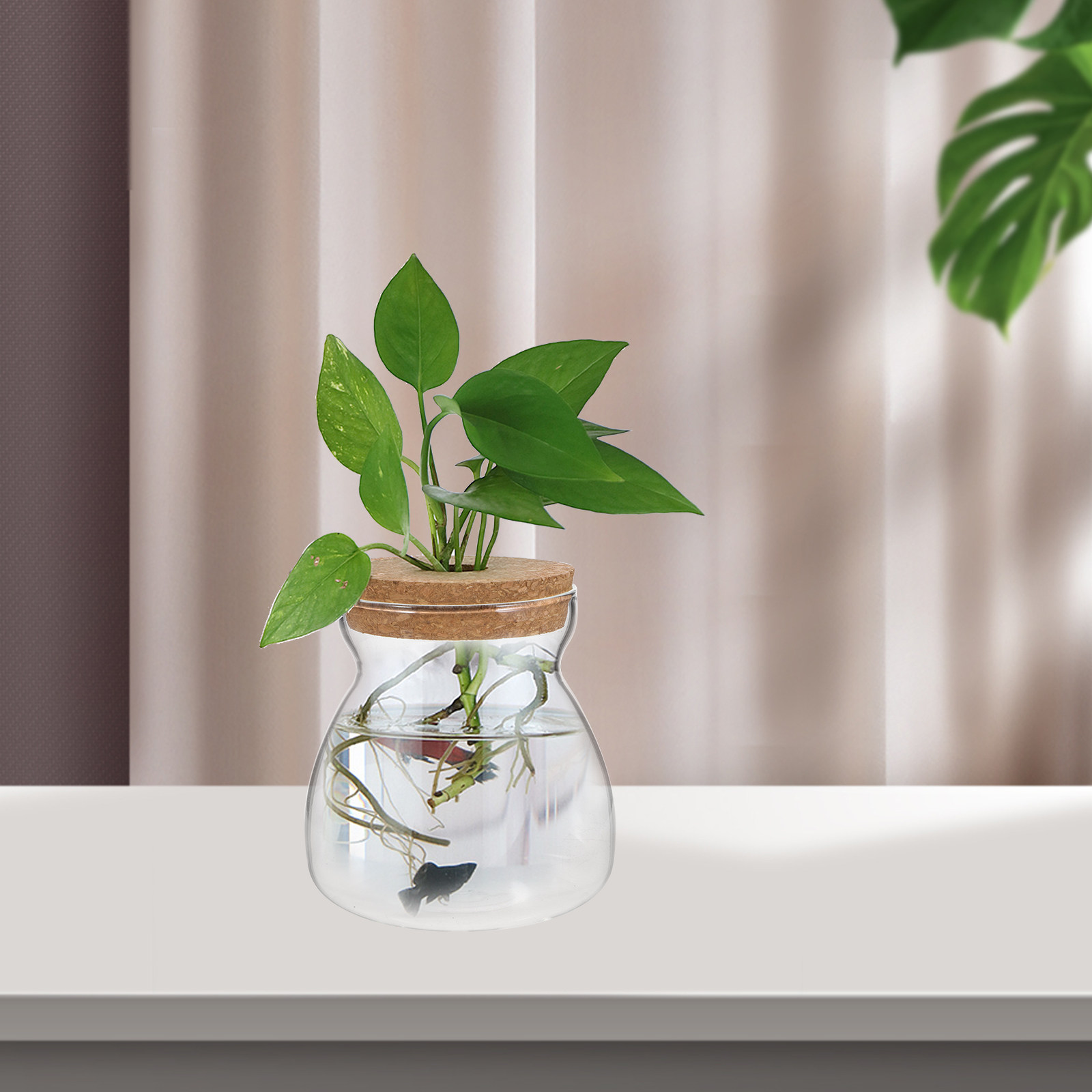 Terrarium Glass Jar Transparen - Planted Aquarium Jar บทวิจารณ์และราคา
