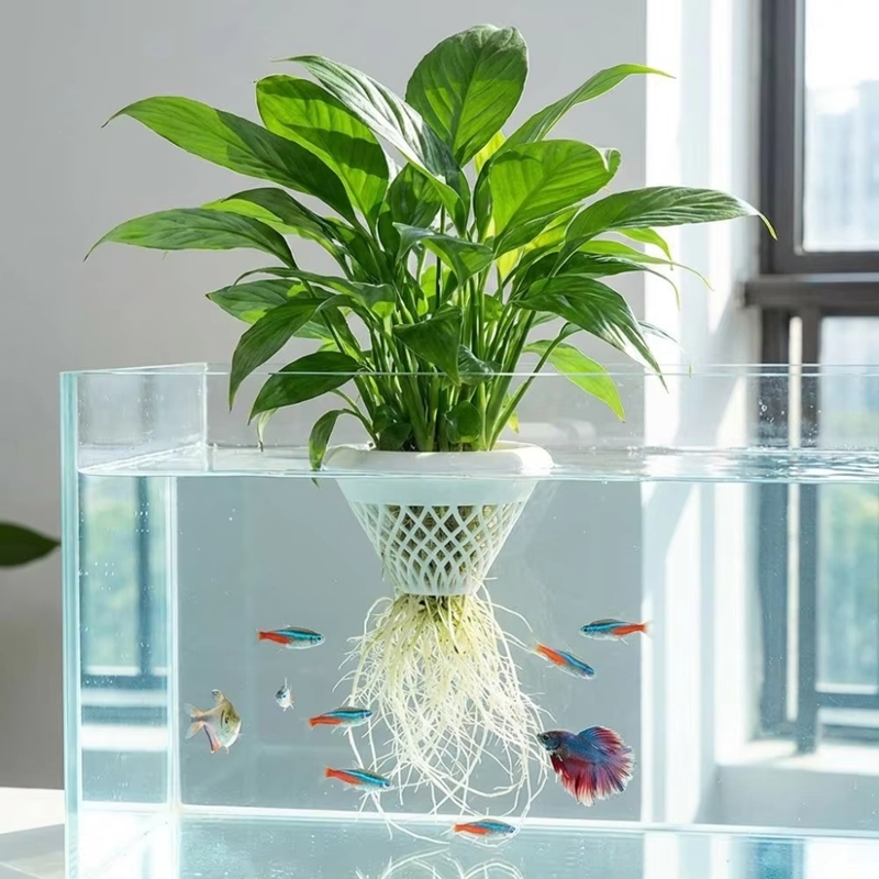 Floating Aquarium Plant Pot, 3 - Planted Aquarium Jar บทวิจารณ์และราคา