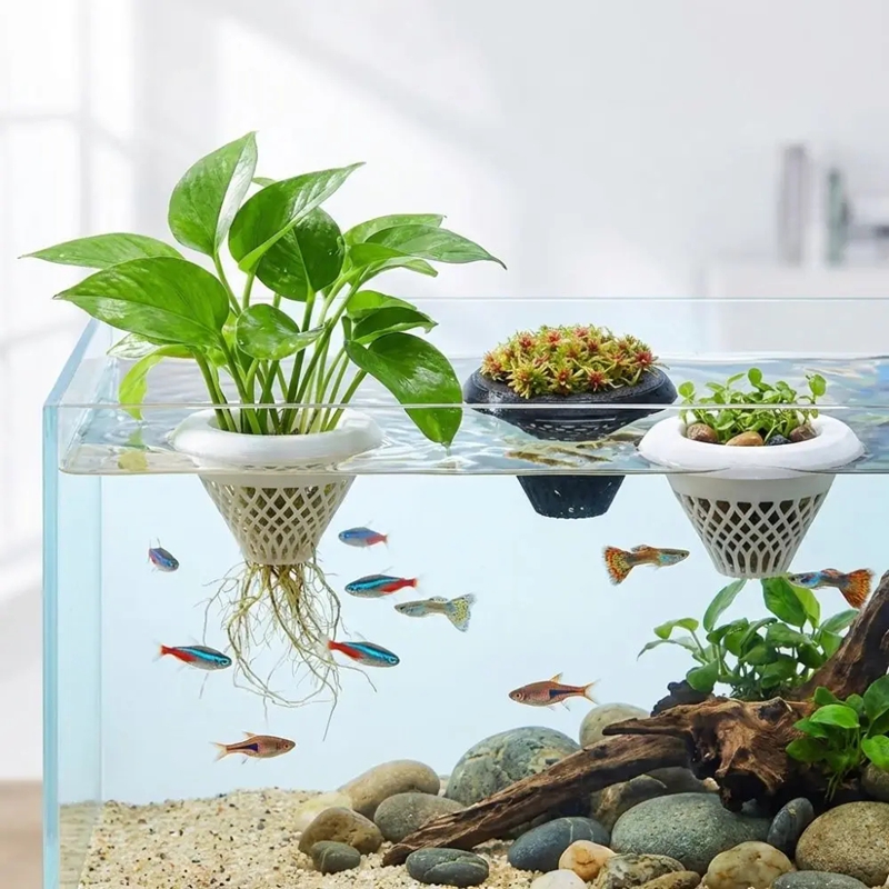 Floating Aquarium Plant Pot, 3 - Planted Aquarium Jar บทวิจารณ์และราคา