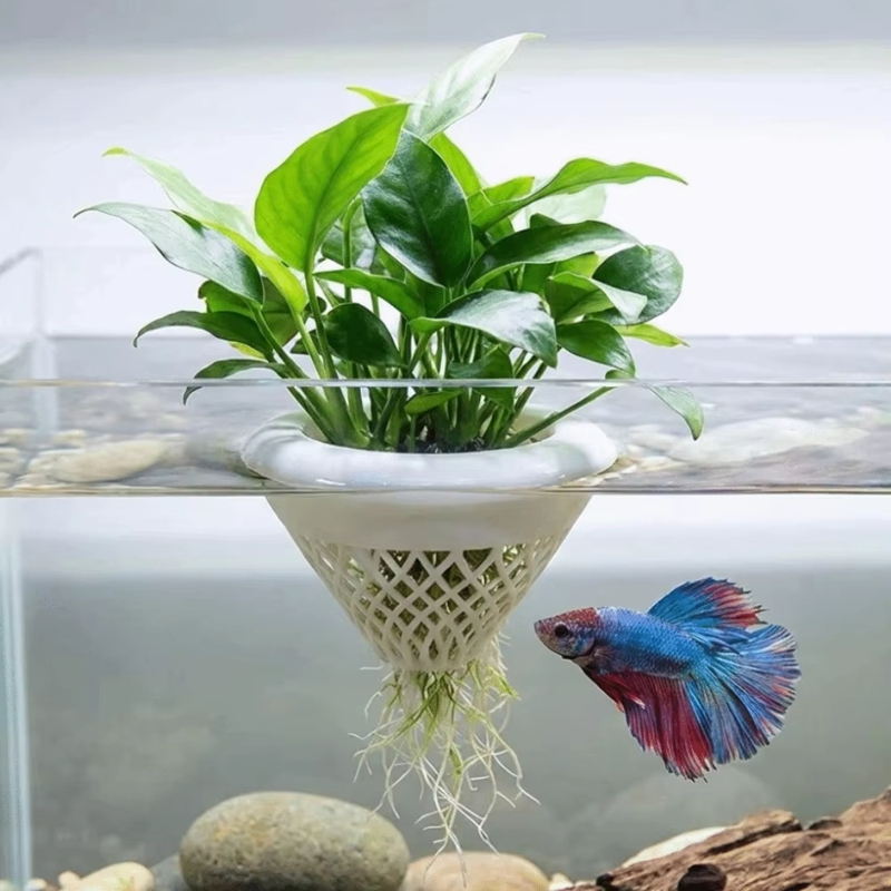 Floating Aquarium Plant Pot, 3 - Planted Aquarium Jar บทวิจารณ์และราคา