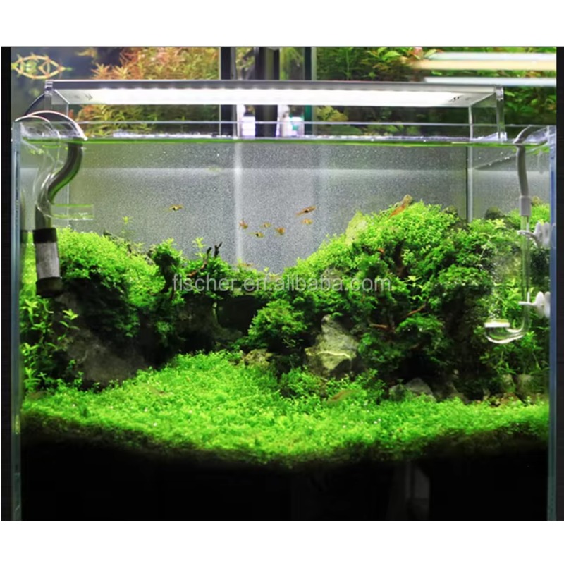 A801 Professional LED Aquarium - Planted Aquarium Jar บทวิจารณ์และราคา