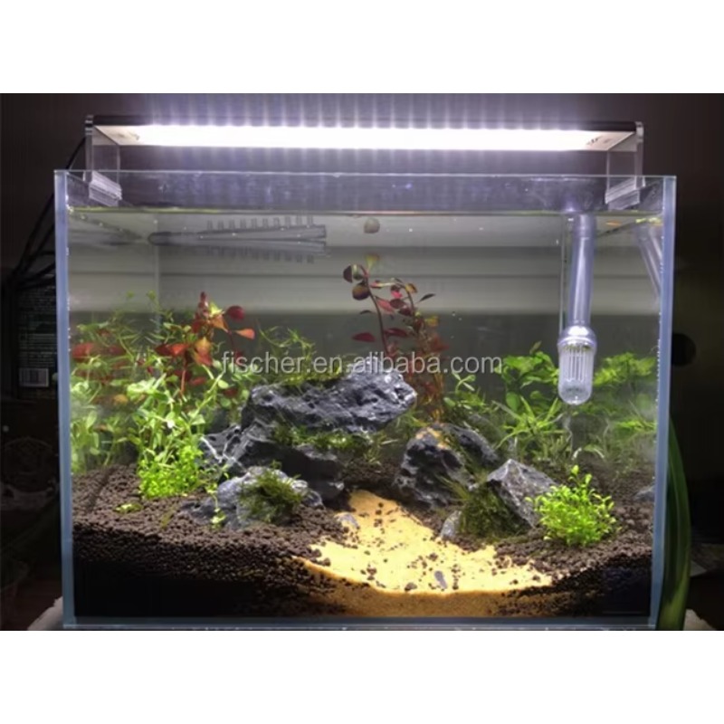 A801 Professional LED Aquarium - Planted Aquarium Jar บทวิจารณ์และราคา