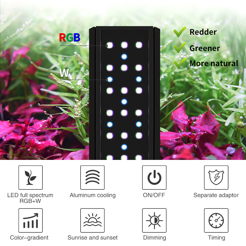ZXY Hot Sale WEEKAQUA V400 WRG - Aquarium Plants For Sale บทวิจารณ์และราคา