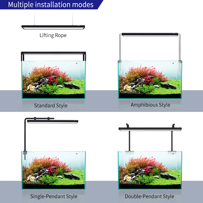 ZXY Hot Sale WEEKAQUA V400 WRG - Aquarium Plants For Sale บทวิจารณ์และราคา