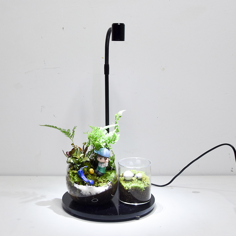 Full Spectrum wth Light Lamp f - Planted Aquarium Care บทวิจารณ์และราคา