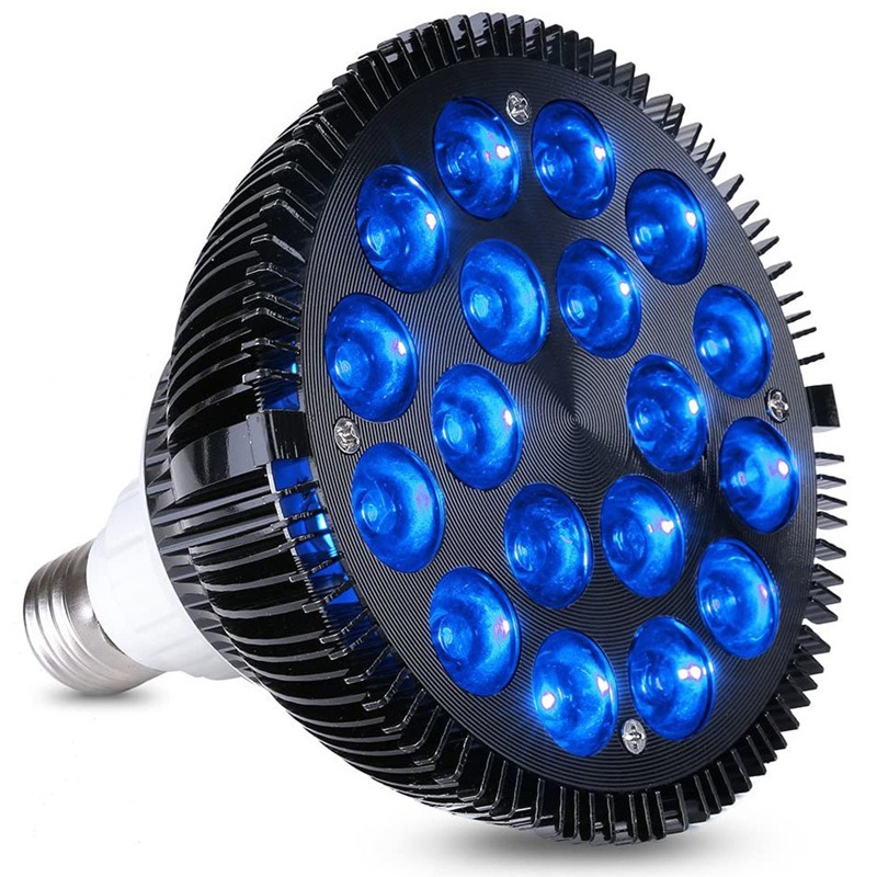 NEW Hot Sale LED Fish Tank Lig - Aquarium Plants For Sale บทวิจารณ์และราคา