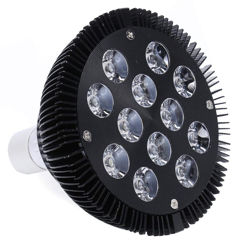 NEW Hot Sale LED Fish Tank Lig - Aquarium Plants For Sale บทวิจารณ์และราคา