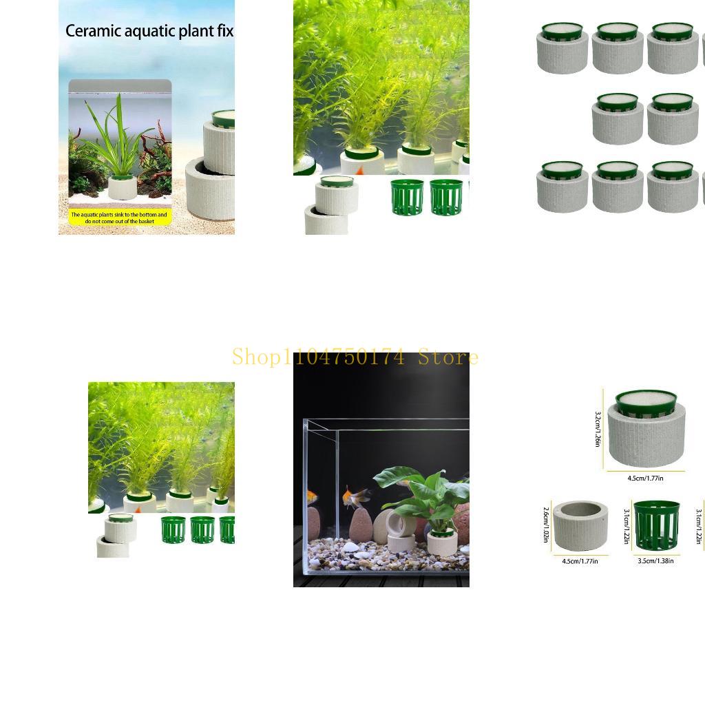 10Pcs Aquarium Plant Fixed Rin - Aquarium Plants For Sale บทวิจารณ์และราคา