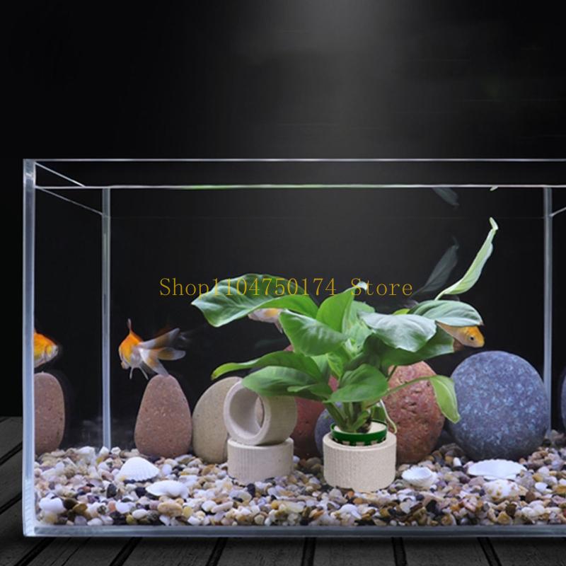 10Pcs Aquarium Plant Fixed Rin - Aquarium Plants For Sale บทวิจารณ์และราคา