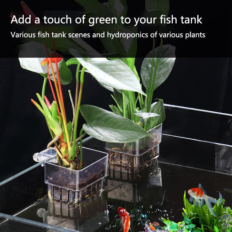 Aquarium Hydroponic Planting C - Aquarium Planted Tank Setup บทวิจารณ์และราคา