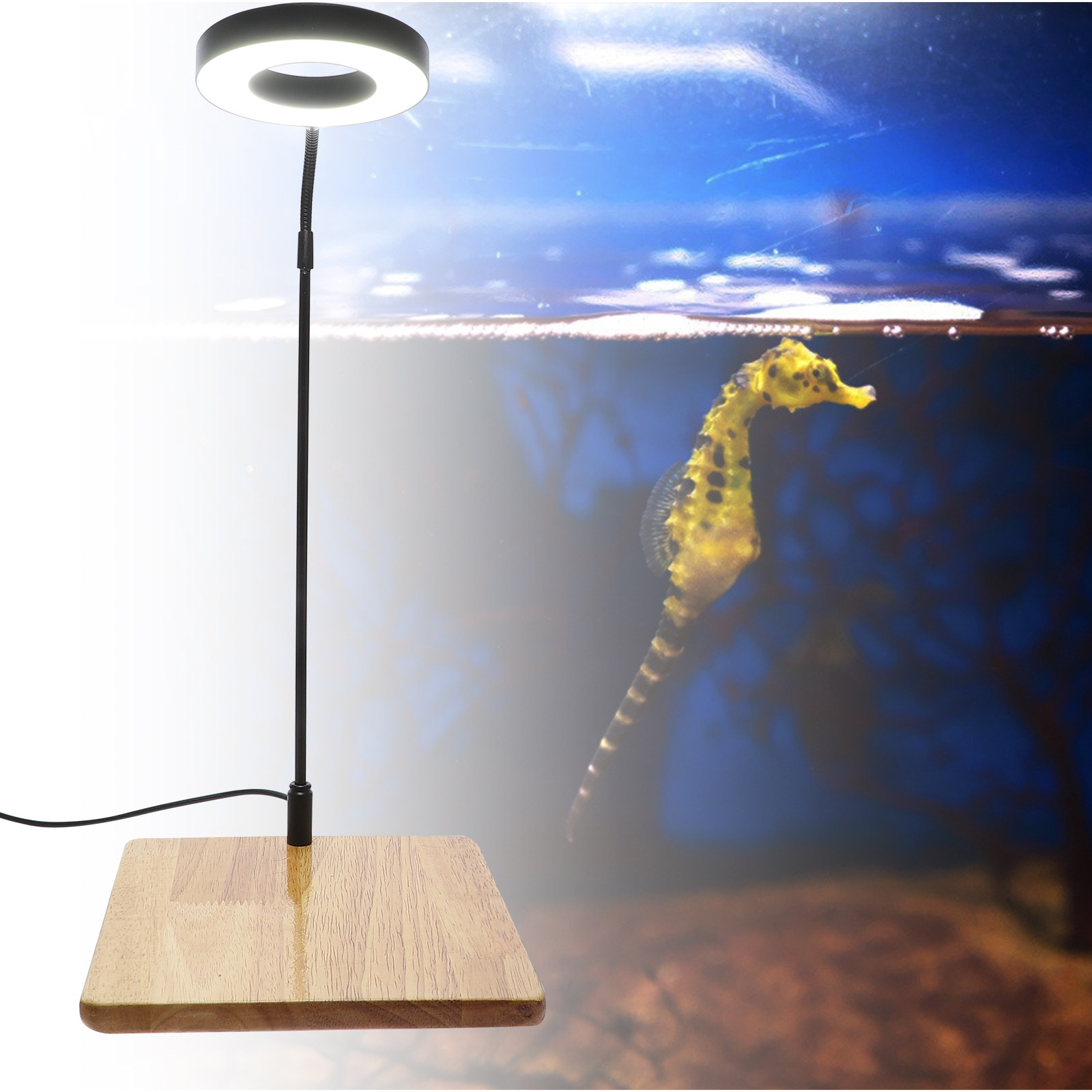 1Pcs Aquarium Fill Light High  - Led Planted Tank Light บทวิจารณ์และราคา