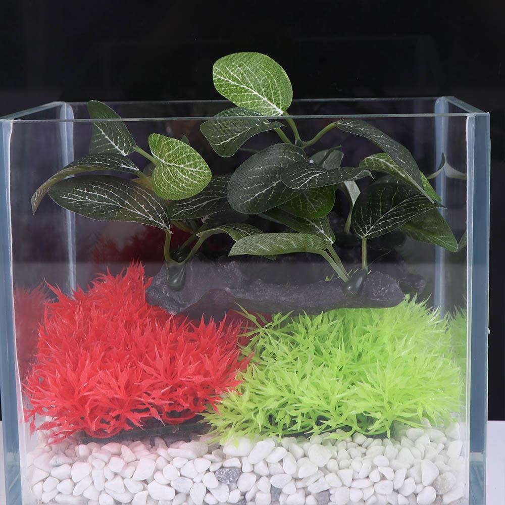 Decorative Plastic Faux Simula - Planted Aquarium Jar บทวิจารณ์และราคา