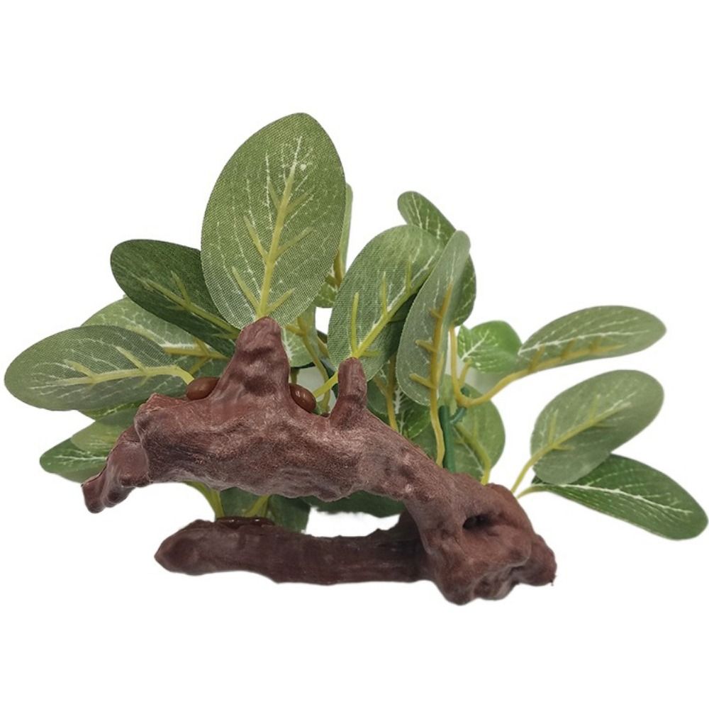 Decorative Plastic Faux Simula - Planted Aquarium Jar บทวิจารณ์และราคา