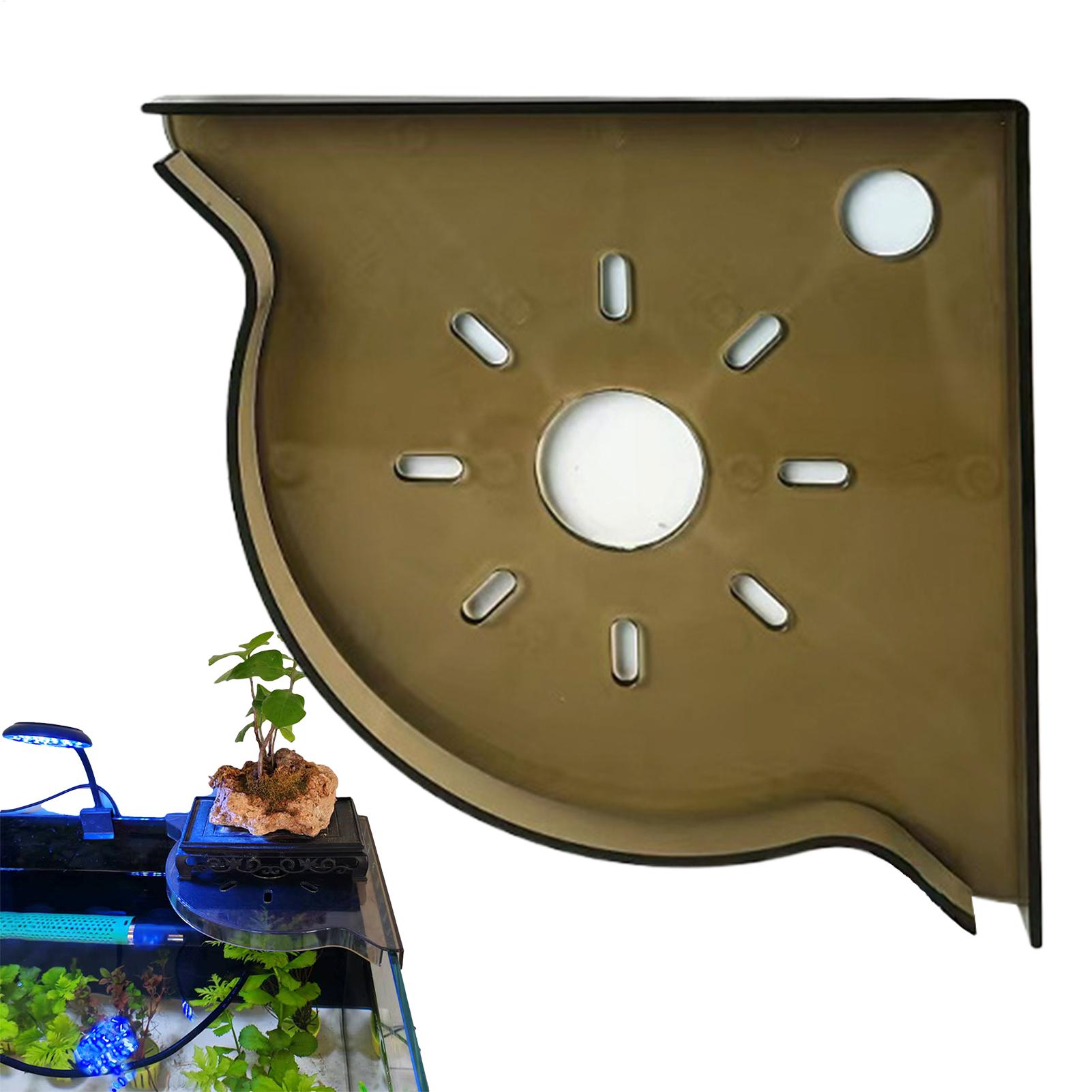 Aquarium Plant Holder Triangle - Planted Aquarium For Beginners บทวิจารณ์และราคา