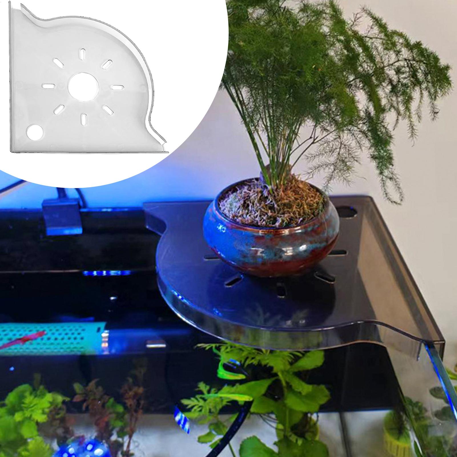 Aquarium Plant Holder Triangle - Planted Aquarium For Beginners บทวิจารณ์และราคา