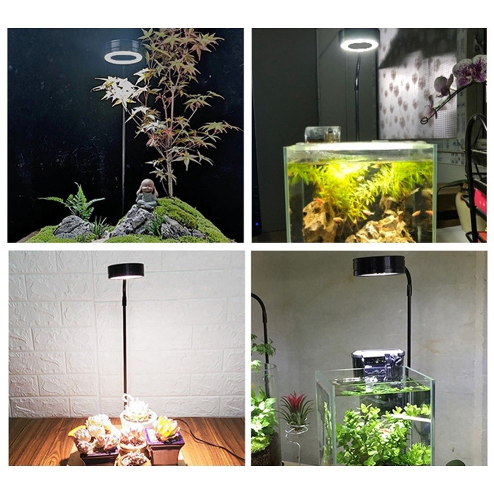 10W Fish Tank LED Lamp with Wo - Aquarium Plant On Wood บทวิจารณ์และราคา