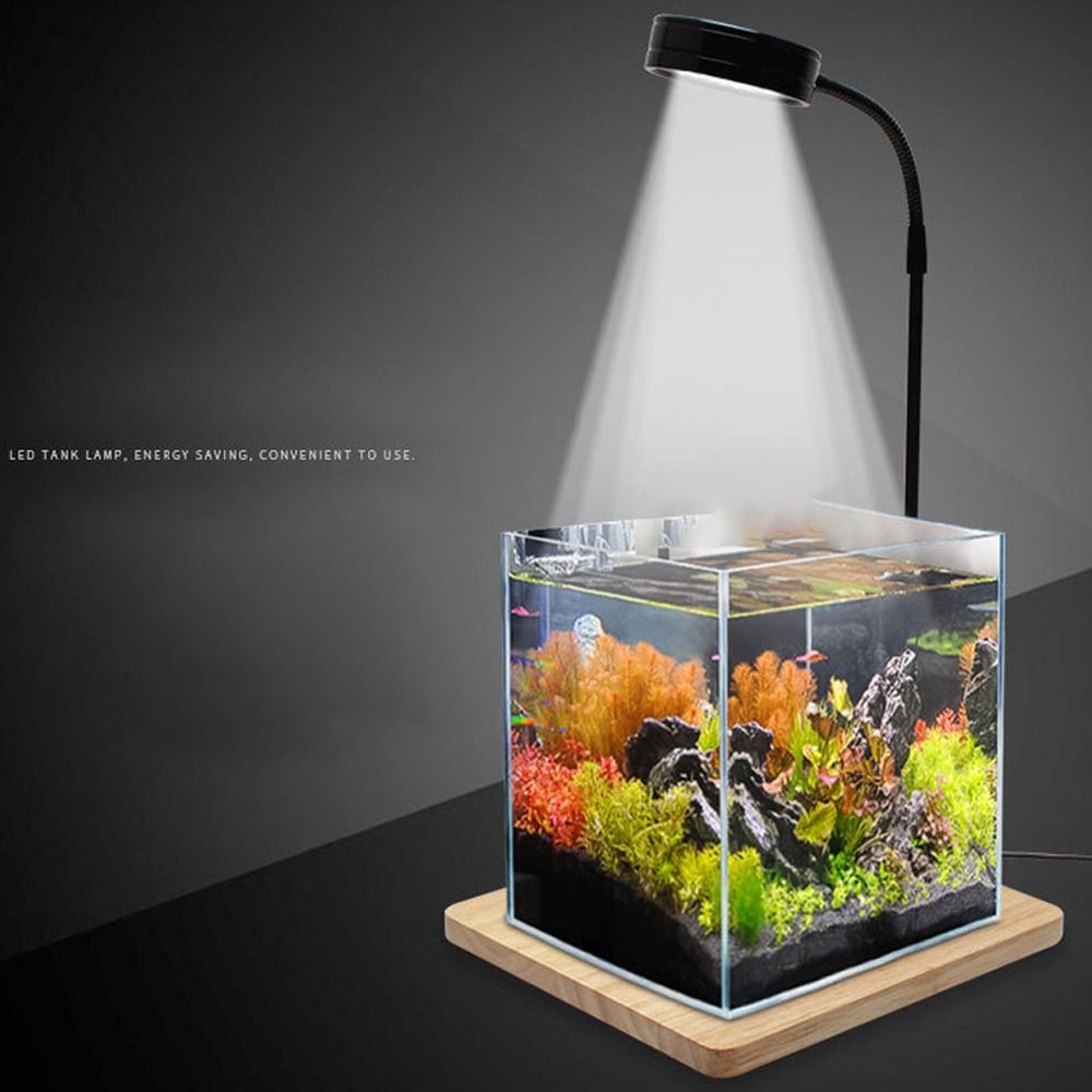 10W Fish Tank LED Lamp with Wo - Aquarium Plant On Wood บทวิจารณ์และราคา