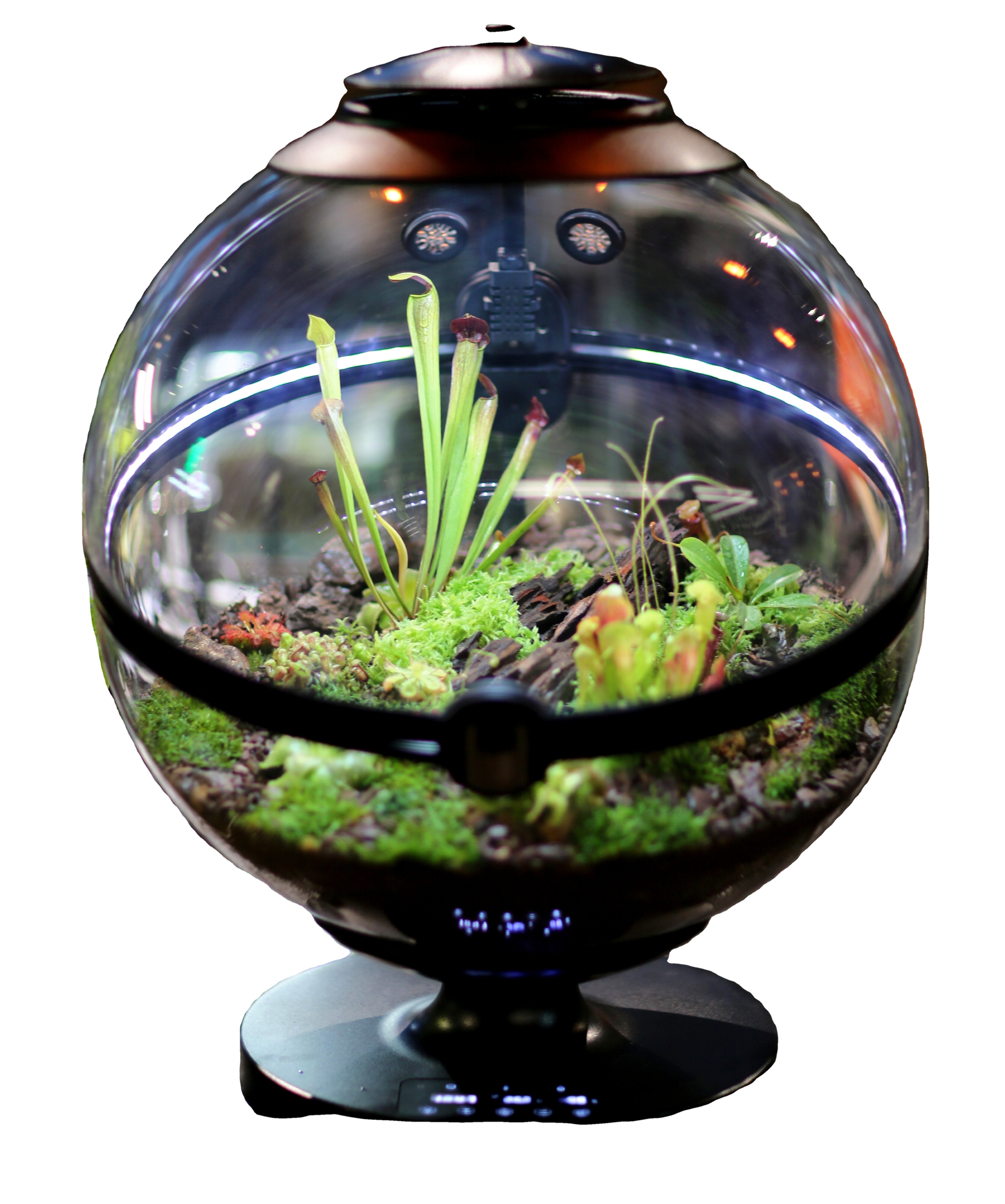 Hot Sales Acrylic Material  Ba - Aquarium Plants For Sale บทวิจารณ์และราคา