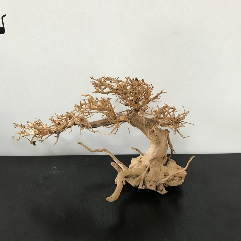 100% Handcraft Aquarium Bonsai - Aquarium Plant On Wood บทวิจารณ์และราคา
