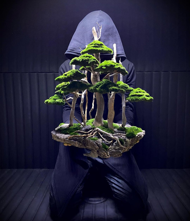 100% Handcraft Aquarium Bonsai - Aquarium Plant On Wood บทวิจารณ์และราคา
