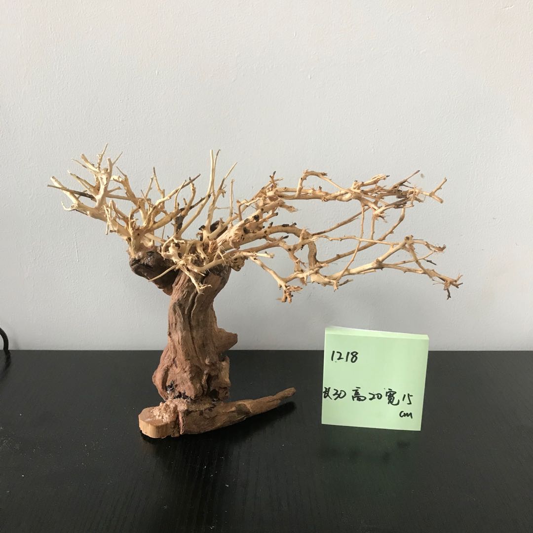 100% Handcraft Aquarium Bonsai - Aquarium Plant On Wood บทวิจารณ์และราคา