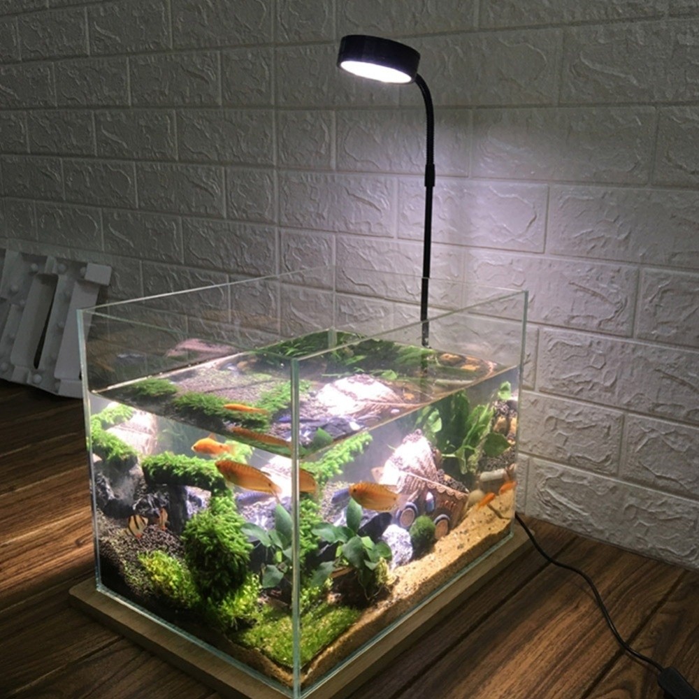 10W Fish Tank LED Lamp with Wo - Aquarium Plant On Wood บทวิจารณ์และราคา