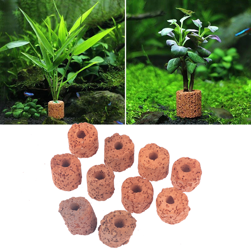 10Pcs Mini Aquatic Plant Ring  - Aquarium Planted Tank Setup บทวิจารณ์และราคา