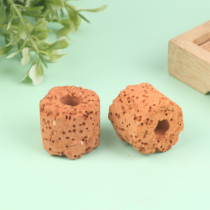 10Pcs Mini Aquatic Plant Ring  - Aquarium Planted Tank Setup บทวิจารณ์และราคา