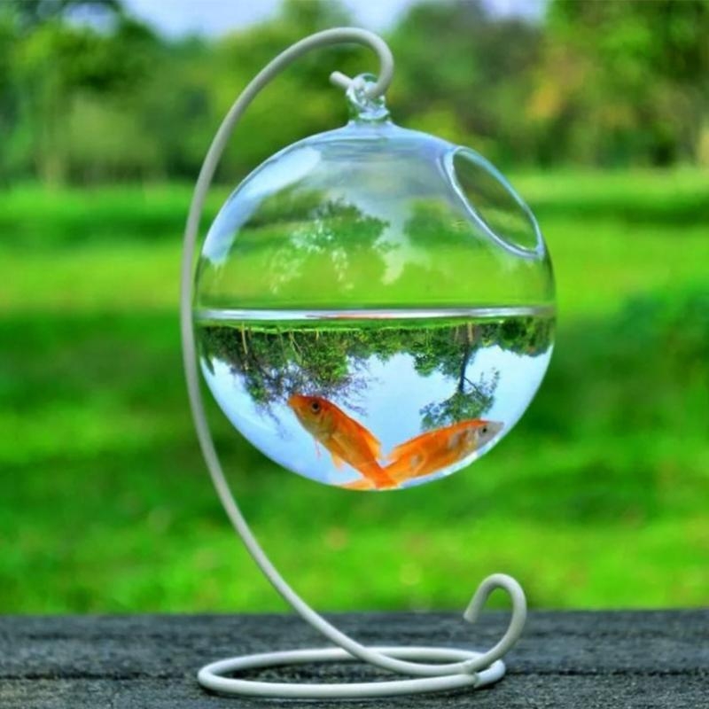 Transparent Spherical Glass Ha - Planted Aquarium Bowl บทวิจารณ์และราคา
