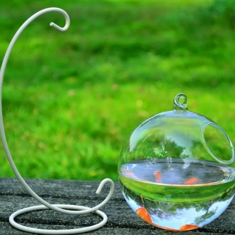 Transparent Spherical Glass Ha - Planted Aquarium Bowl บทวิจารณ์และราคา