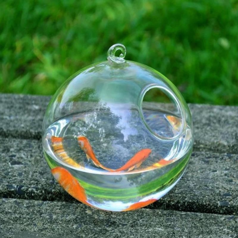 Transparent Spherical Glass Ha - Planted Aquarium Bowl บทวิจารณ์และราคา