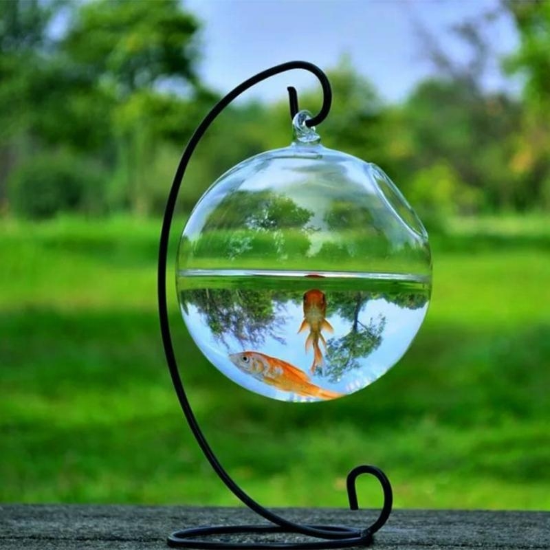 Transparent Spherical Glass Ha - Planted Aquarium Bowl บทวิจารณ์และราคา