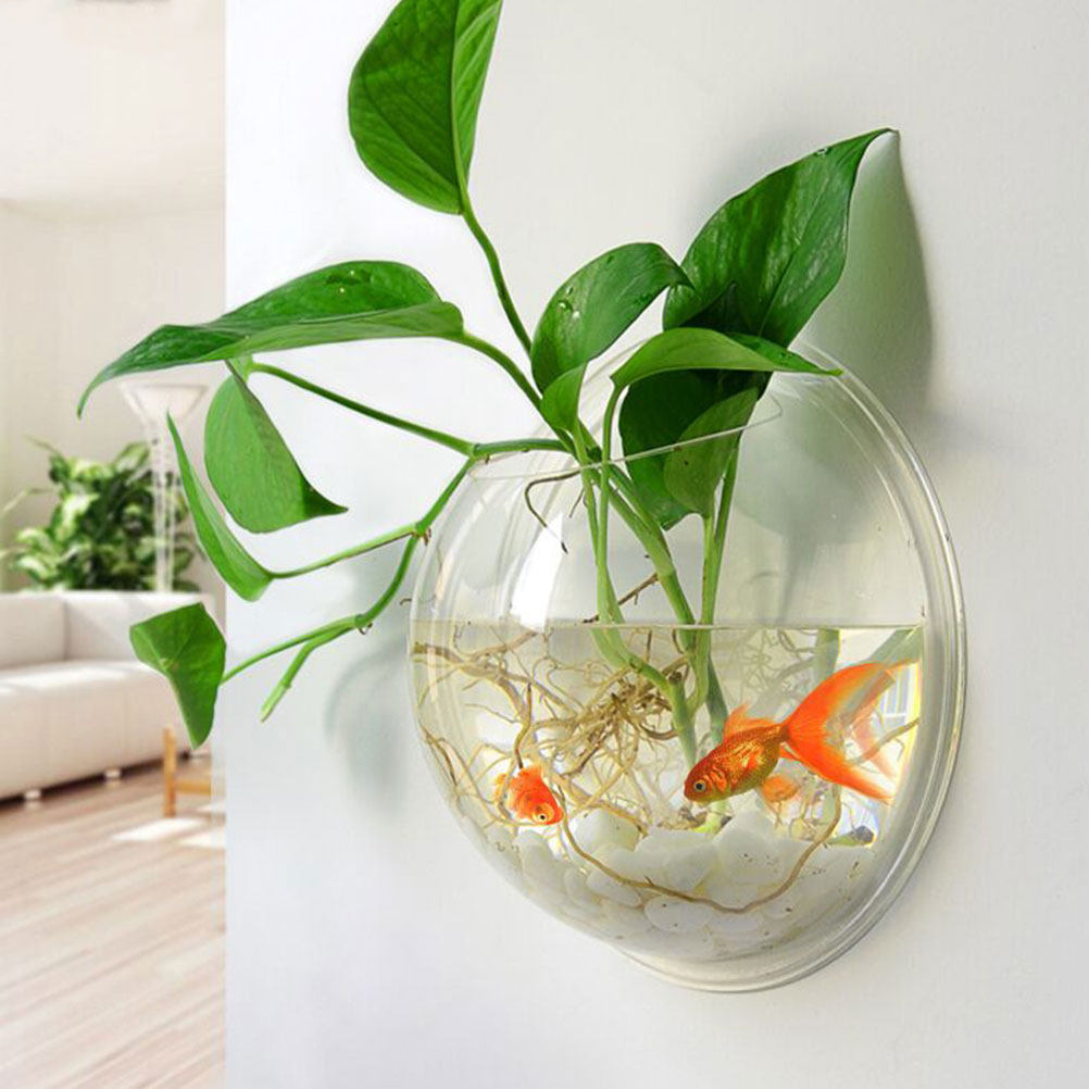 Wall Mounted Fish Bowl Acrylic - Planted Aquarium Bowl บทวิจารณ์และราคา