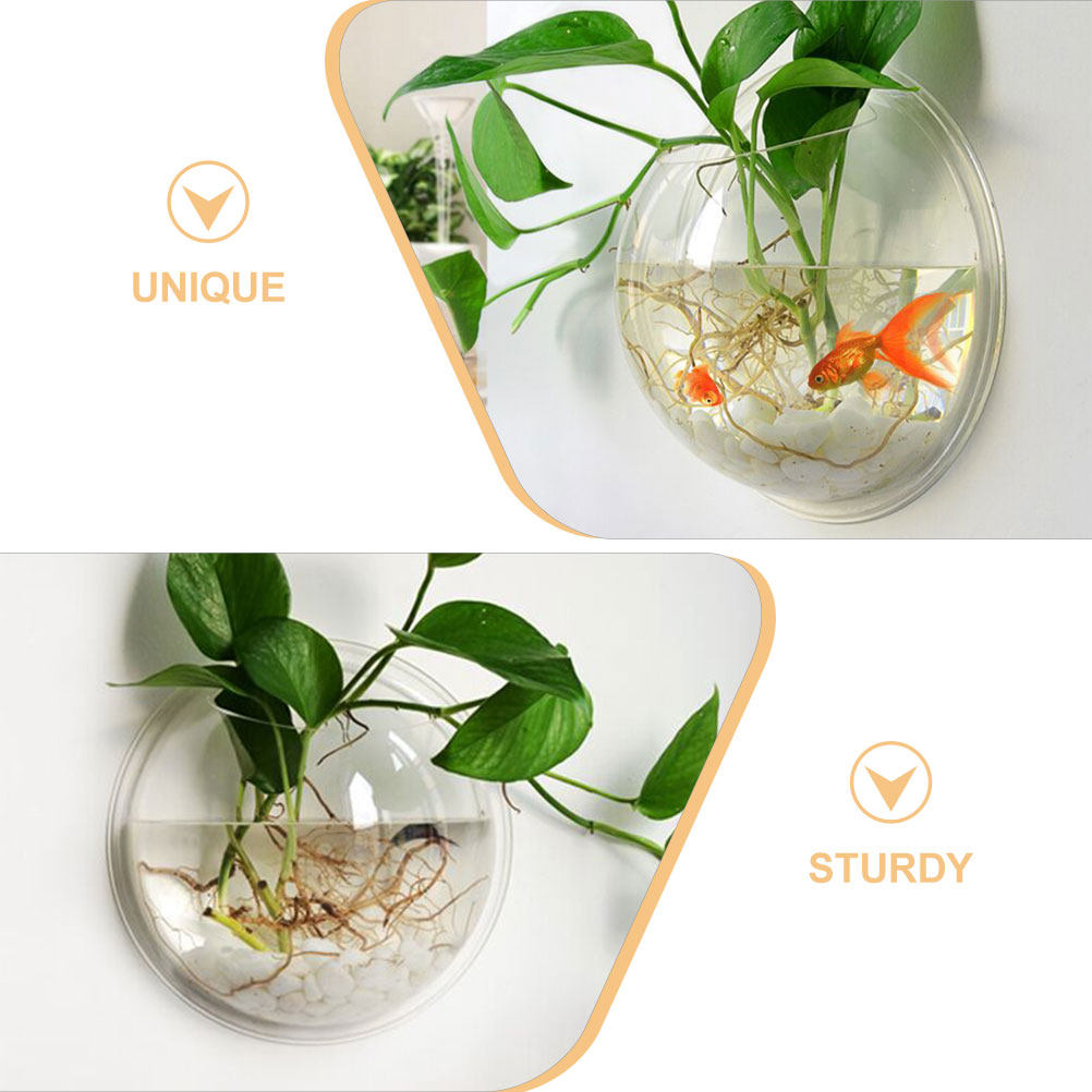Wall Mounted Fish Bowl Acrylic - Planted Aquarium Bowl บทวิจารณ์และราคา
