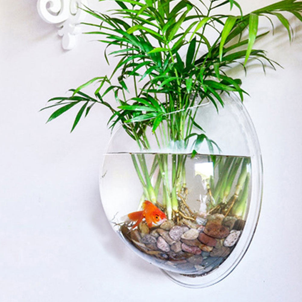 Wall Mounted Fish Bowl Acrylic - Planted Aquarium Bowl บทวิจารณ์และราคา