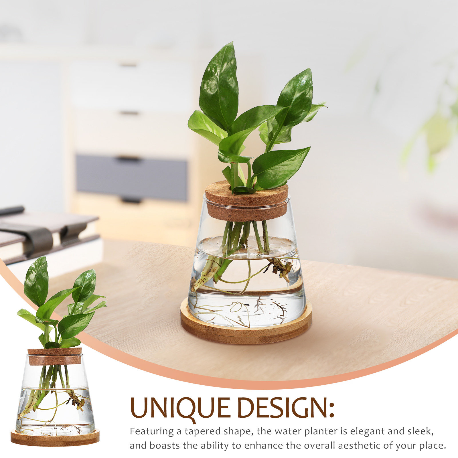 2Pcs Water Planters Glass Prop - Planted Aquarium Jar บทวิจารณ์และราคา