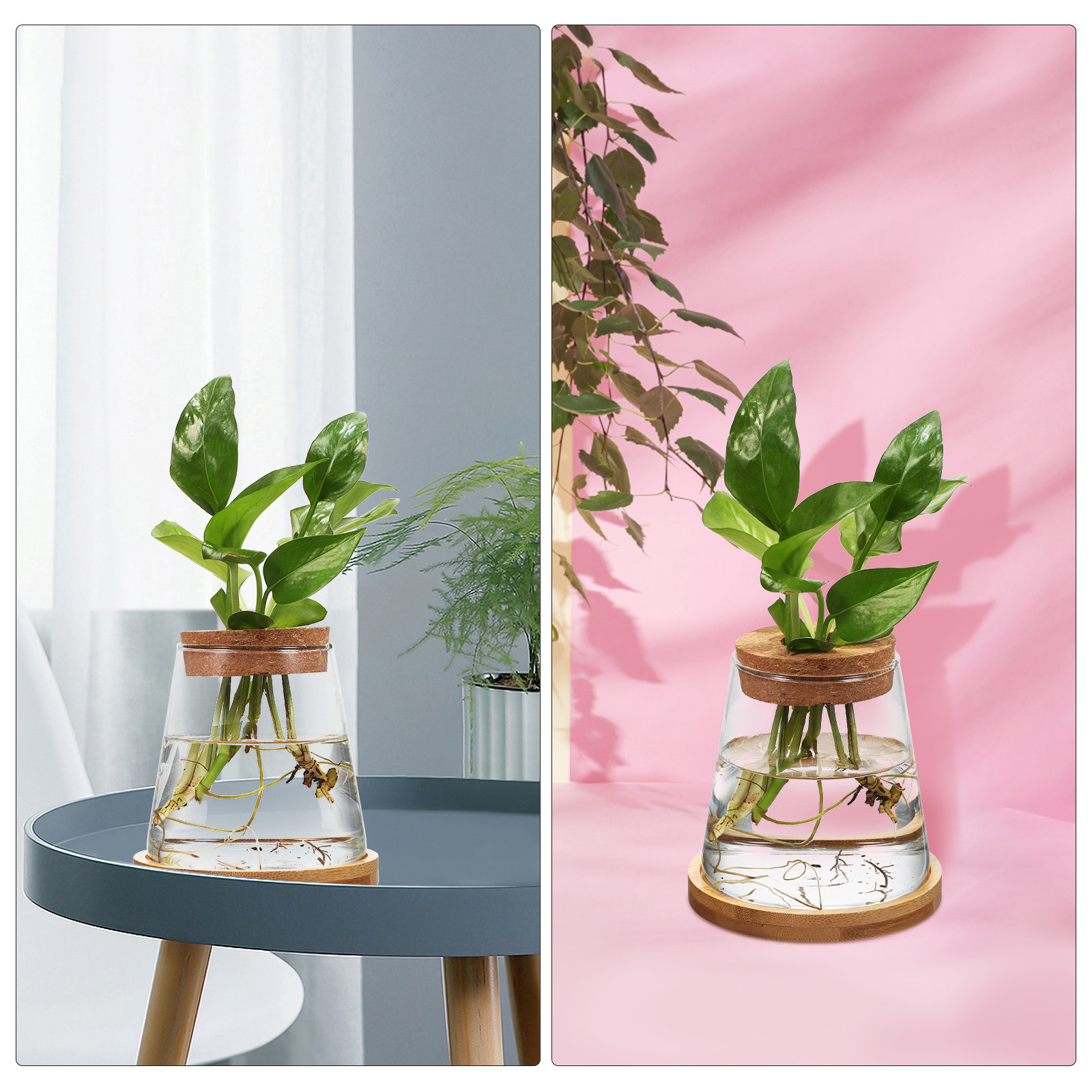2Pcs Water Planters Glass Prop - Planted Aquarium Jar บทวิจารณ์และราคา