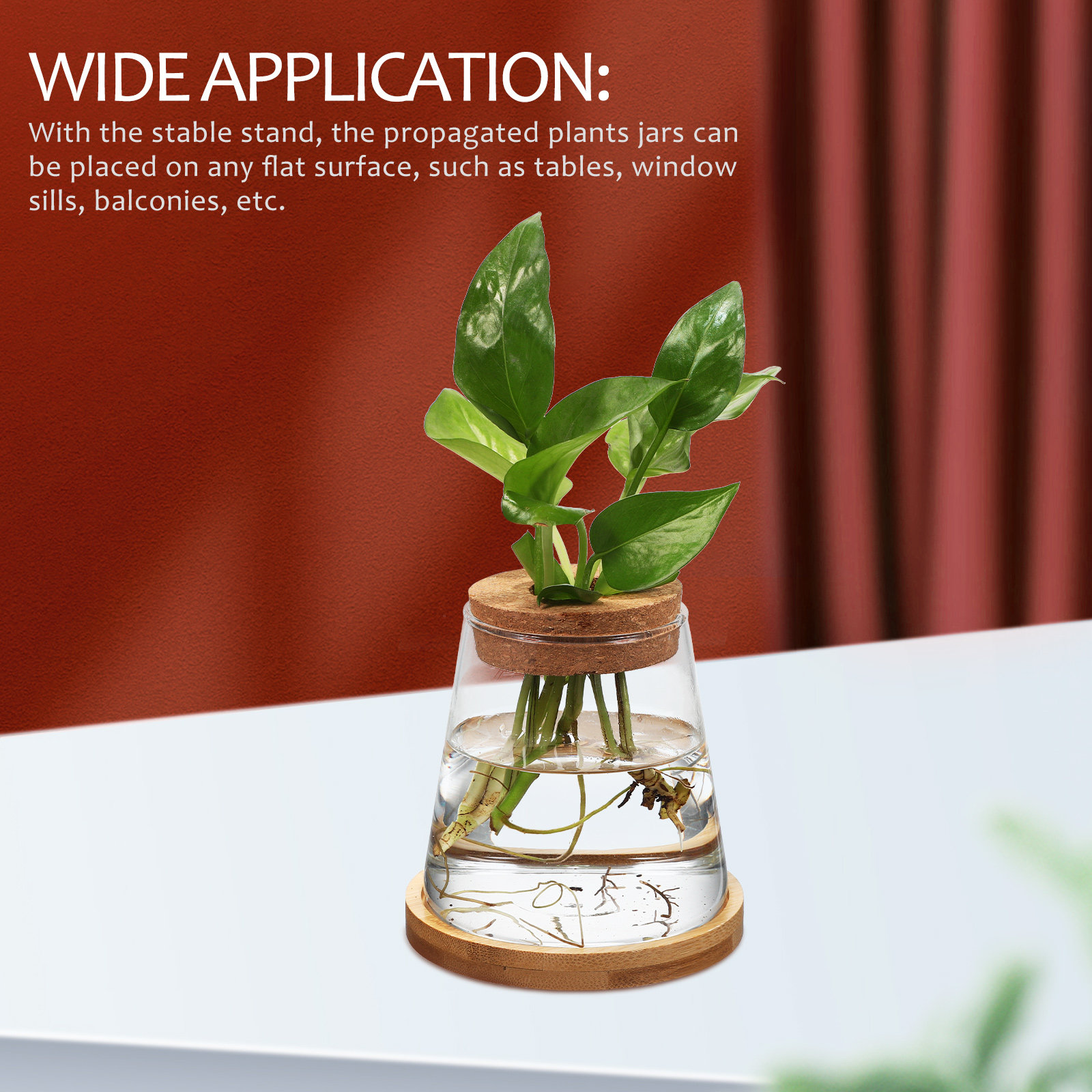 2Pcs Water Planters Glass Prop - Planted Aquarium Jar บทวิจารณ์และราคา