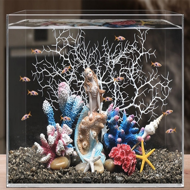 Hot Sale Aquarium Aquascape Co - Aquarium Plants For Sale บทวิจารณ์และราคา