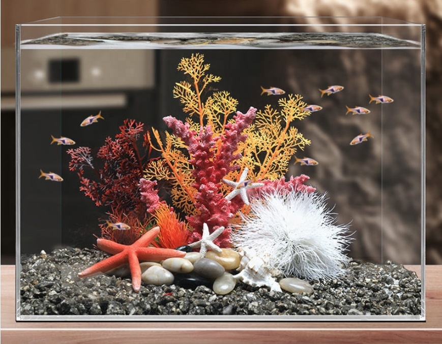 Hot Sale Aquarium Aquascape Co - Aquarium Plants For Sale บทวิจารณ์และราคา