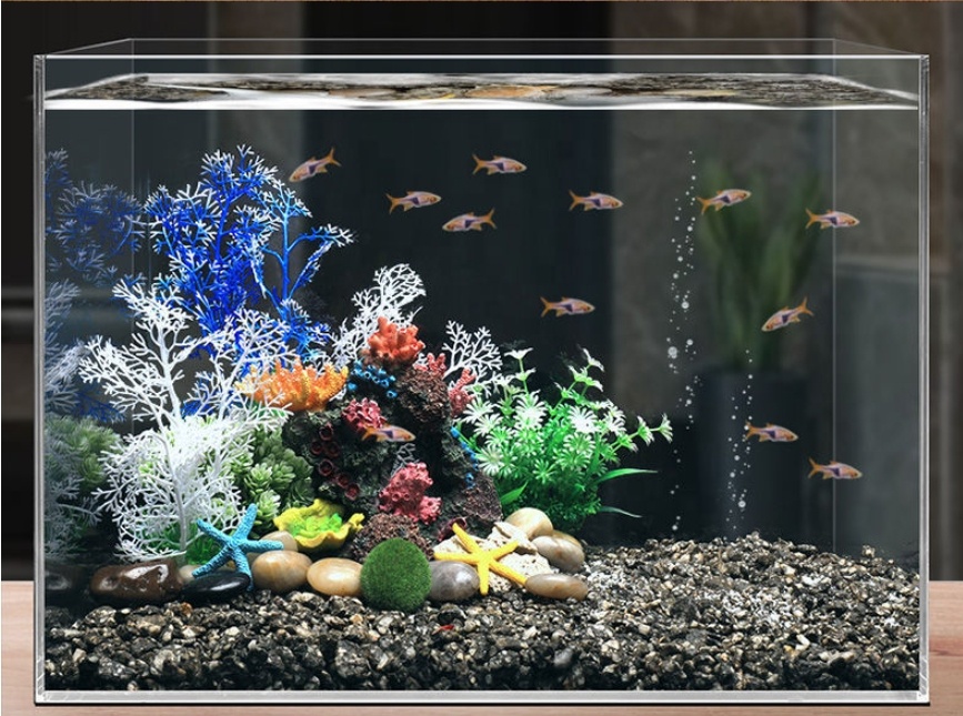Hot Sale Aquarium Aquascape Co - Aquarium Plants For Sale บทวิจารณ์และราคา