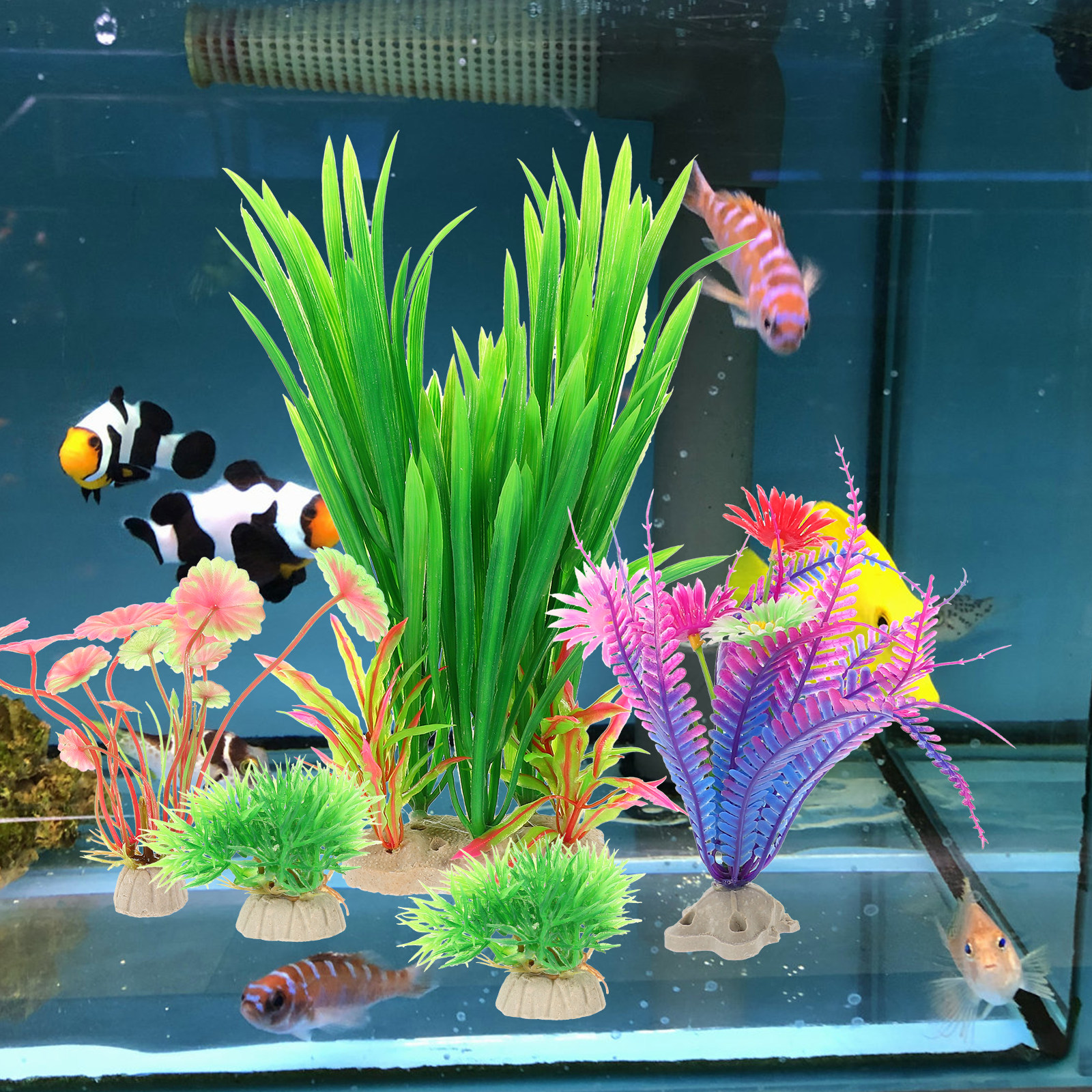 8Pcs Lifelike Plastic Aquatic  - Aquarium Planted Tank Setup บทวิจารณ์และราคา