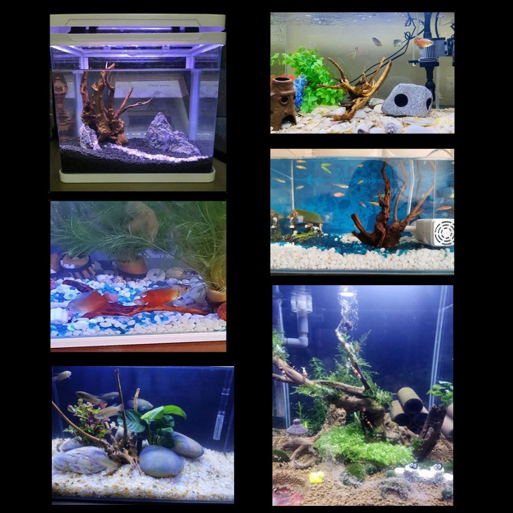 20-25CM Large Aquarium Driftwo - Planted Aquarium Bowl บทวิจารณ์และราคา