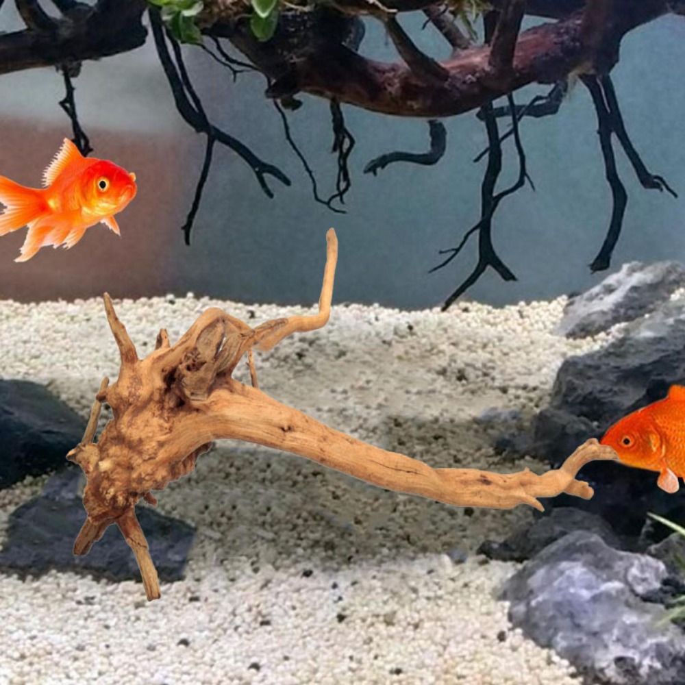 20-25CM Large Aquarium Driftwo - Planted Aquarium Bowl บทวิจารณ์และราคา